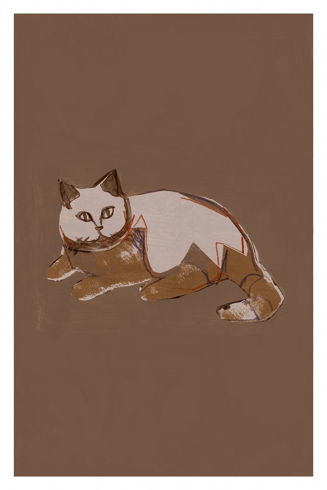 Gatto in stile moderno da cartissi