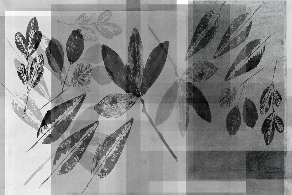 Strati botanici monocromatici da cartissi