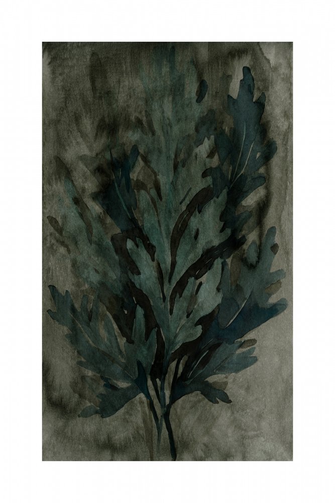 Foglie botaniche di Moody da cartissi