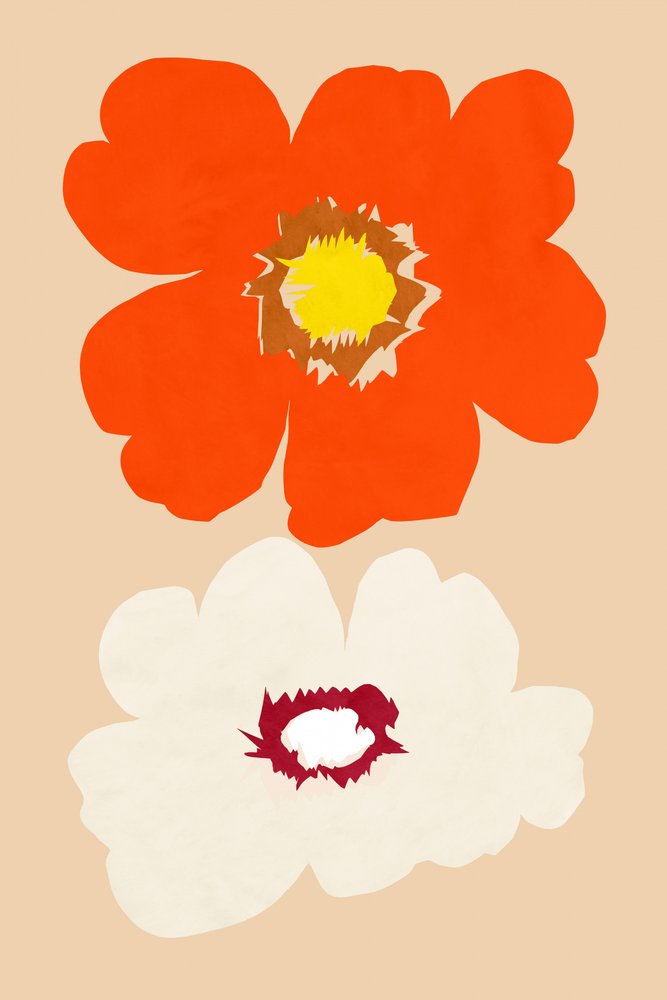Fiori arancioni e bianchi da cartissi