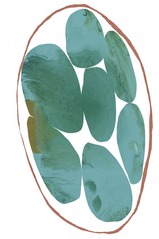 Gems biologiche color verde acqua da cartissi