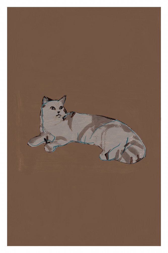 Gatto grigio rilassato da cartissi