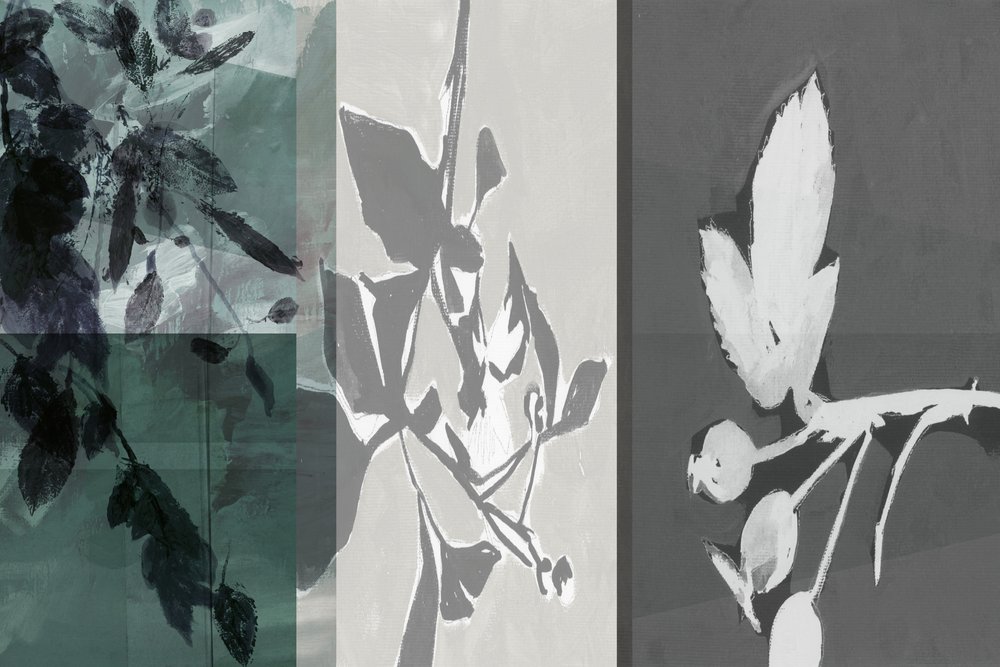 Forme botaniche serene da cartissi