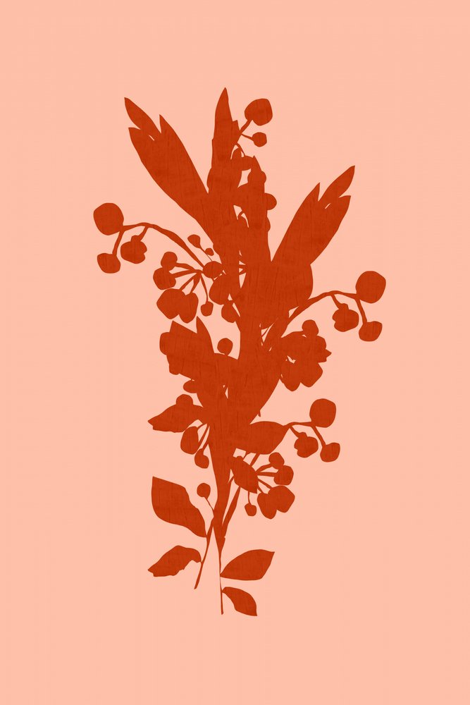 Silhouette floreale in terracotta da cartissi