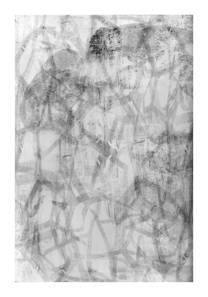 Astratto monocromatico con texture da cartissi