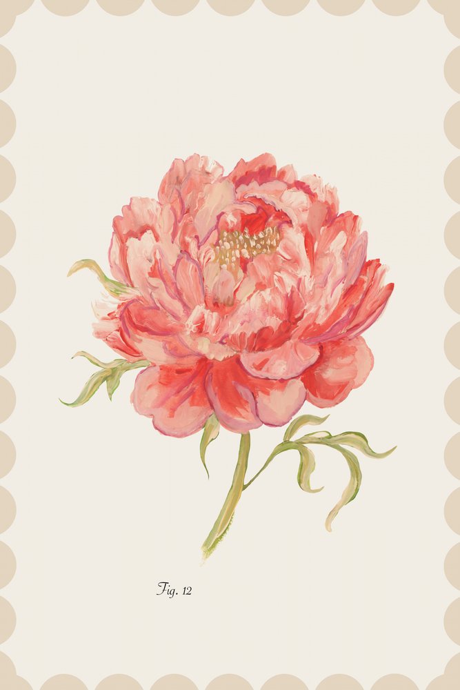 Peonia rosa vintage da cartissi