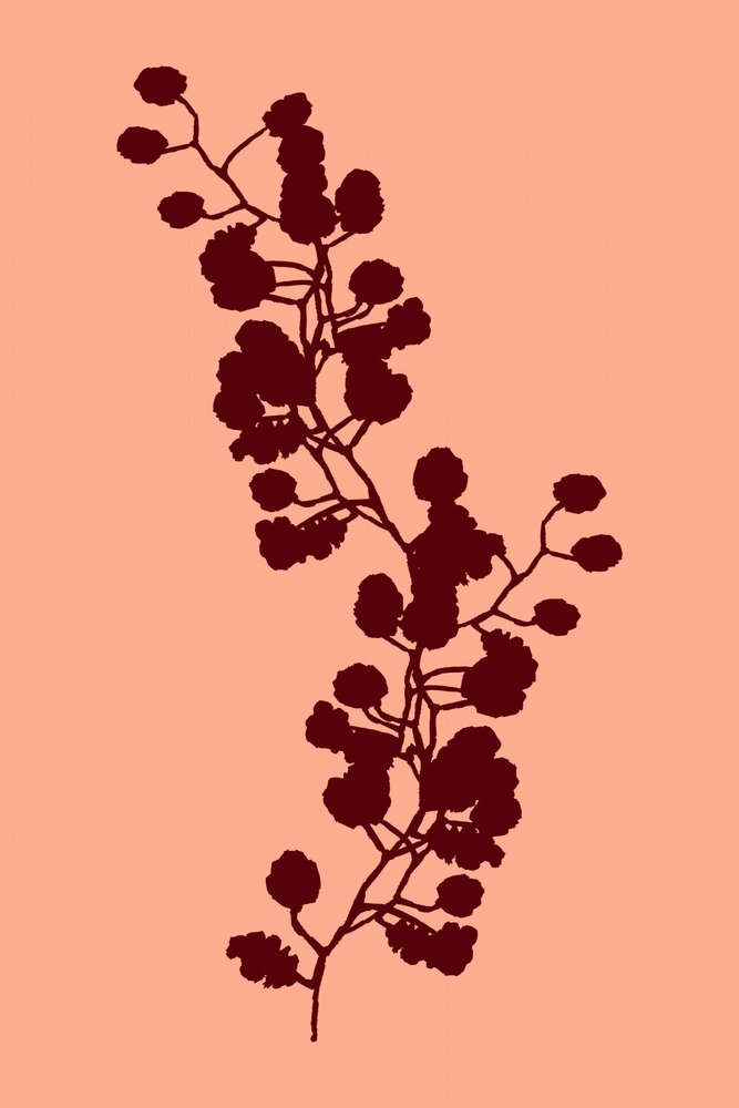 Calda silhouette botanica da cartissi