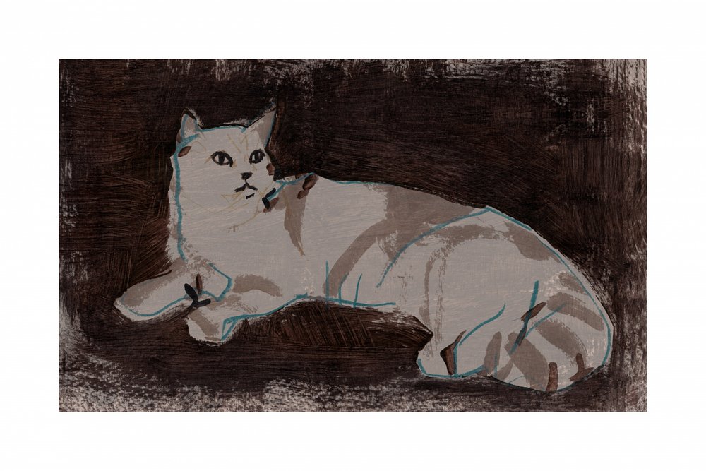Gatto bianco che riposa da cartissi