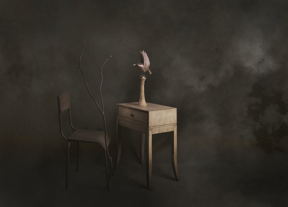 Scena tranquilla con uccelli da chenyi wang