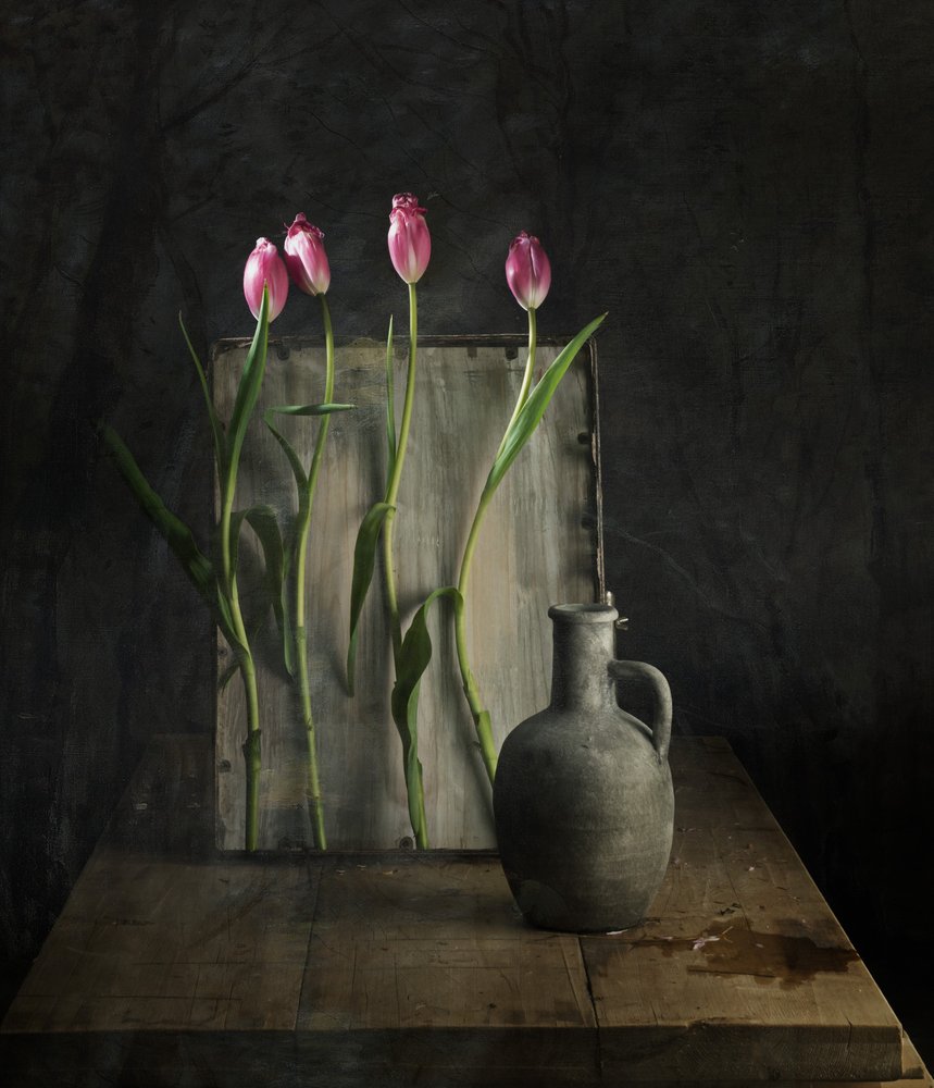  da chenyi wang