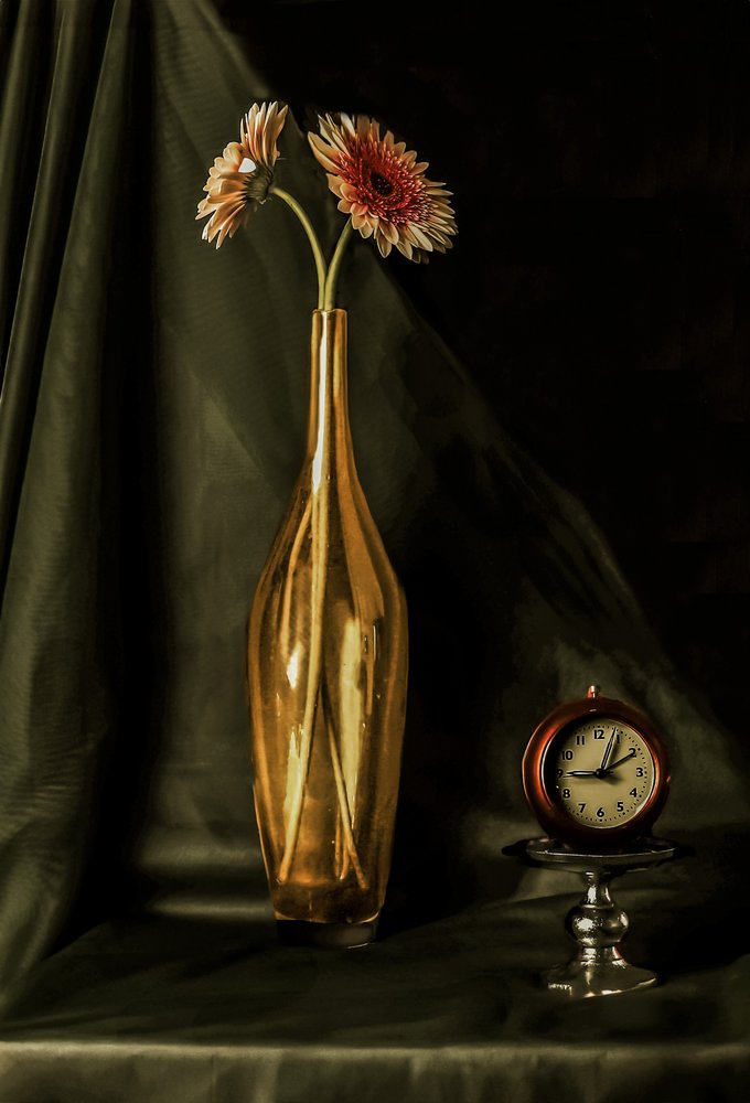 Natura morta con gerbera dorata da jlloydphoto