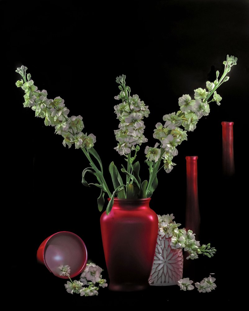 Fiori verdi in vasi rossi da jlloydphoto