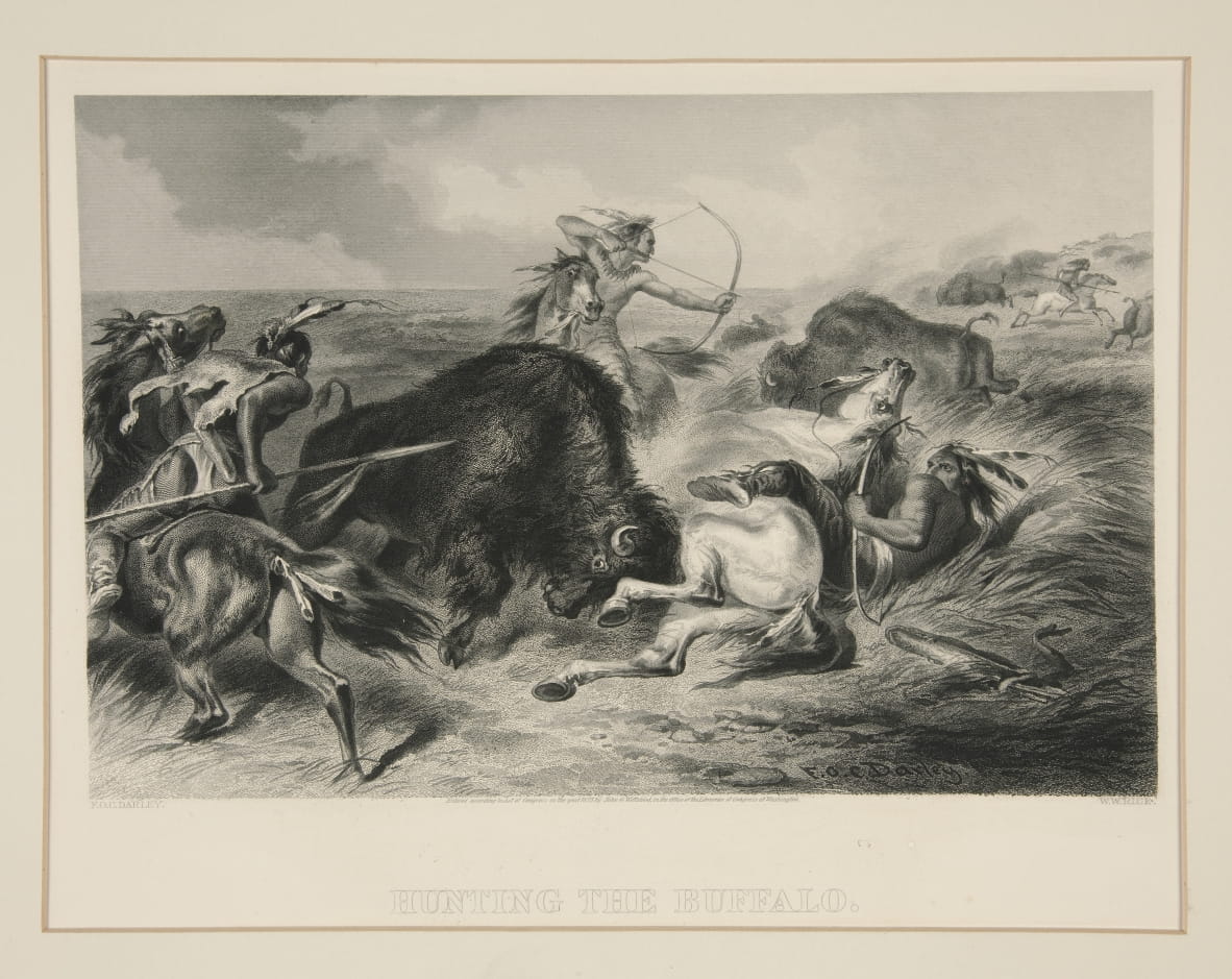 Caccia al bufalo Felix O. C. Darley Stampa d'arte