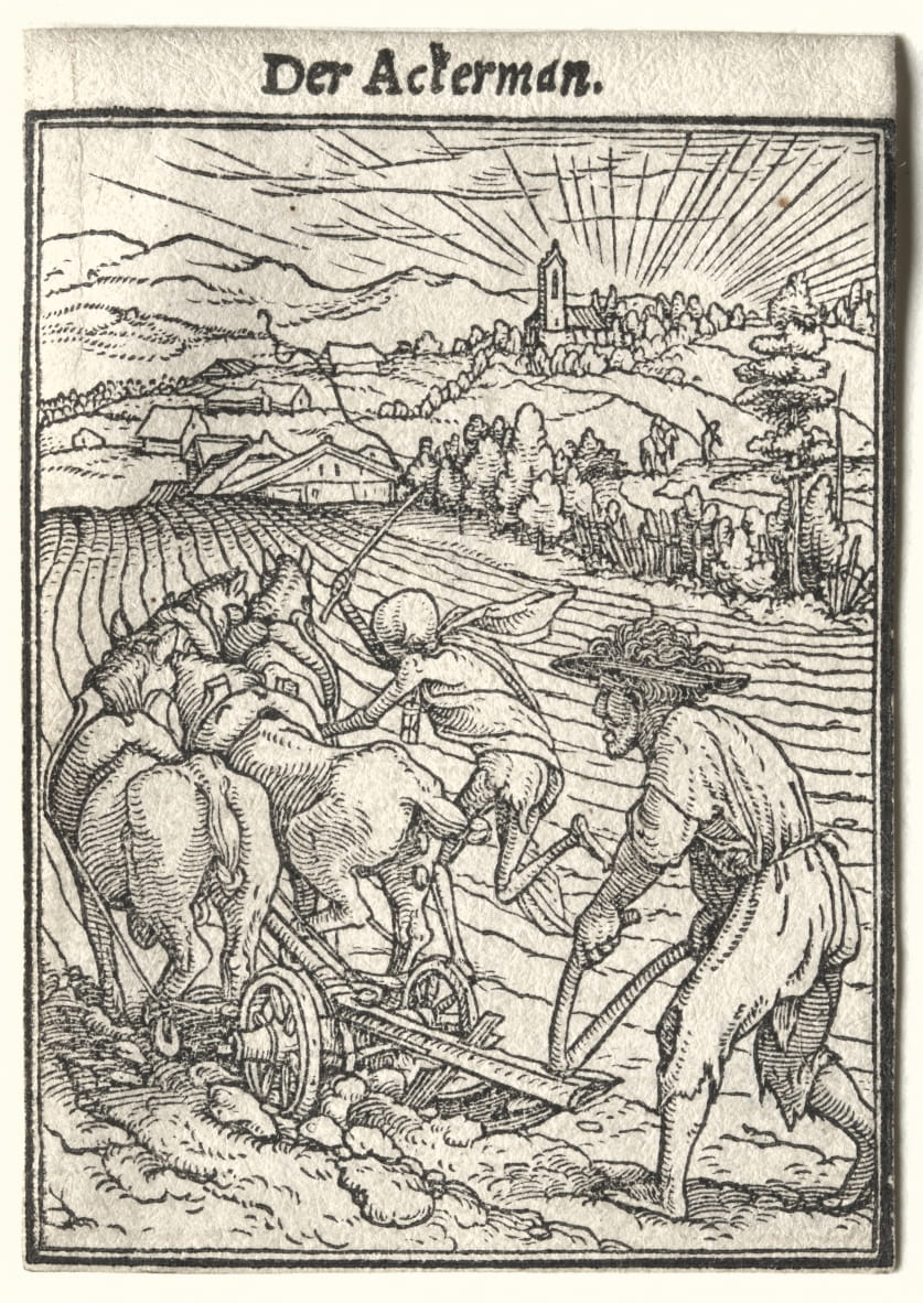 Danza della morte L