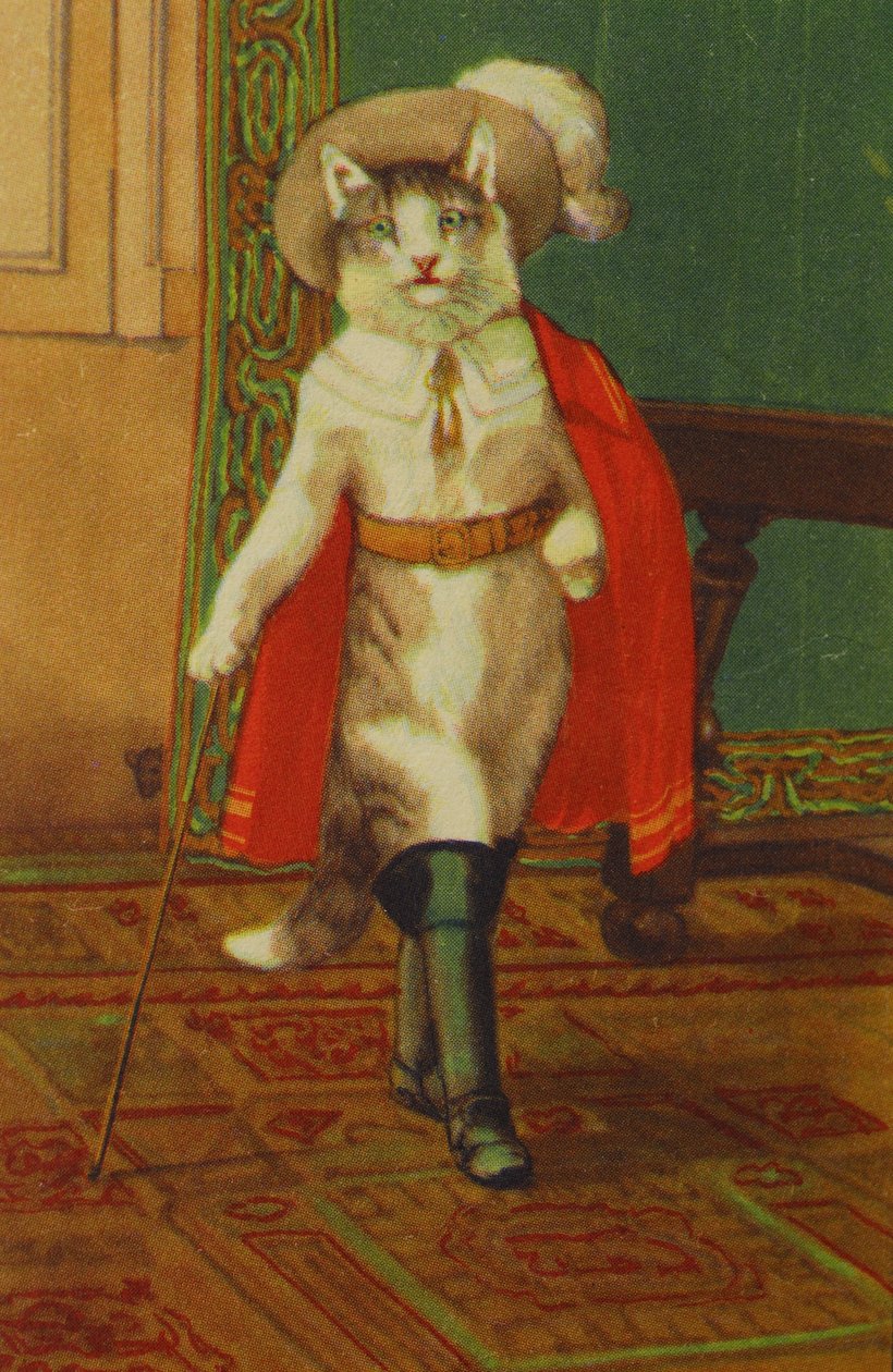 Illustrazione Il gatto con gli stivali, racconto di Perrault da Unknown