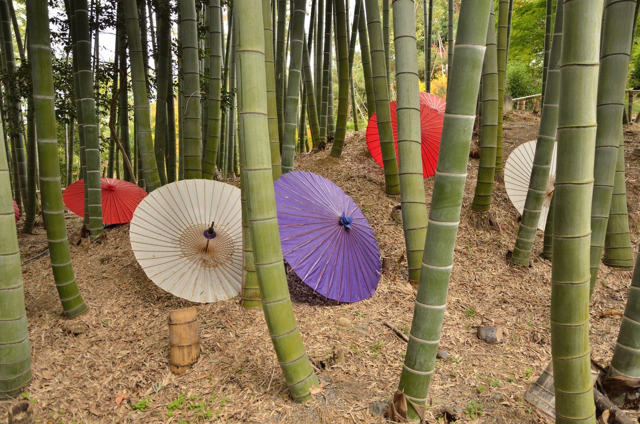 Kodai-ji o Kodaijusho-Zenji - Kyoto (Giappone) - Periodo Edo - Tempio buddista - Giardino con stagno e karesansui (giardino paesaggistico secco) - Fondato nel 1605 da Kita no Mandokoro (moglie di Toyotomi Hideyoshi) da Unknown