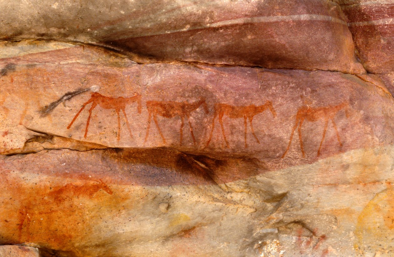 Pitture rupestri dei San (Boscimani), Cedarburg, Western Cape da Unknown
