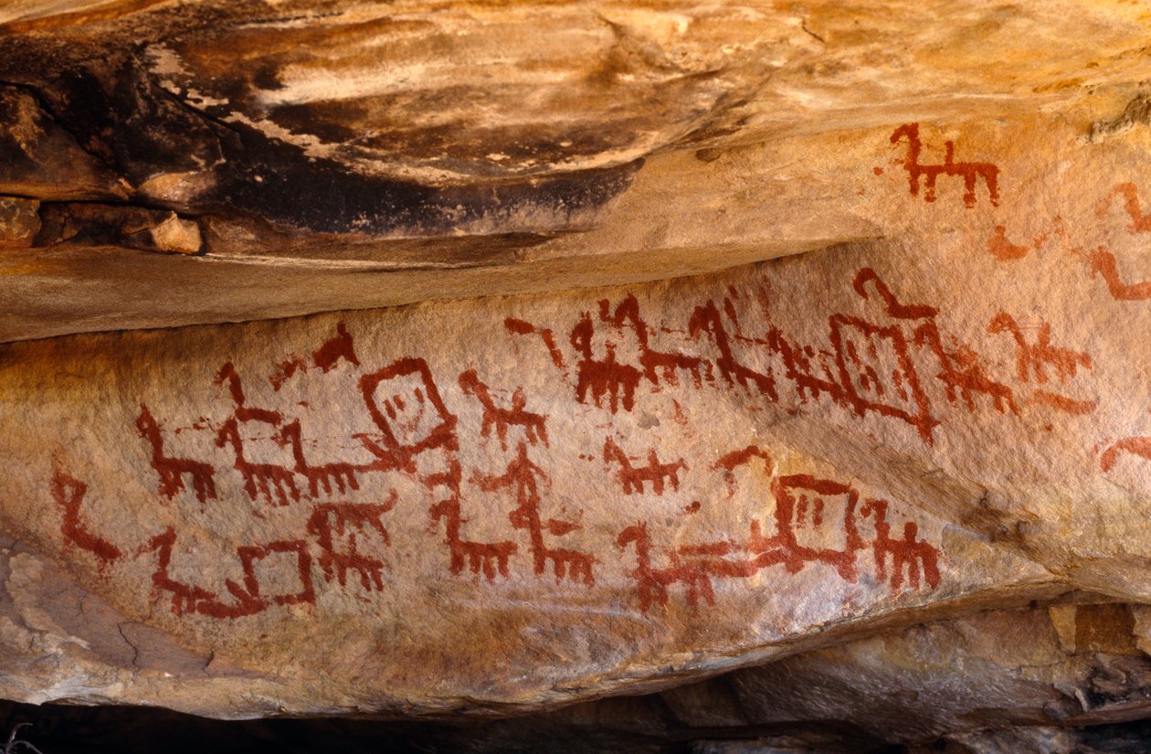 Dipinti rupestri dei San, Cedarburg, Western Cape da Unknown
