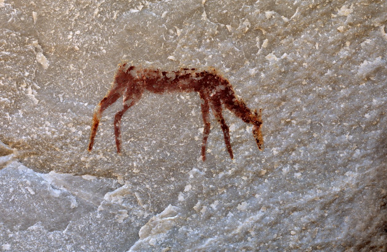 Dipinto rupestre dei San, Cedarburg, Western Cape da Unknown
