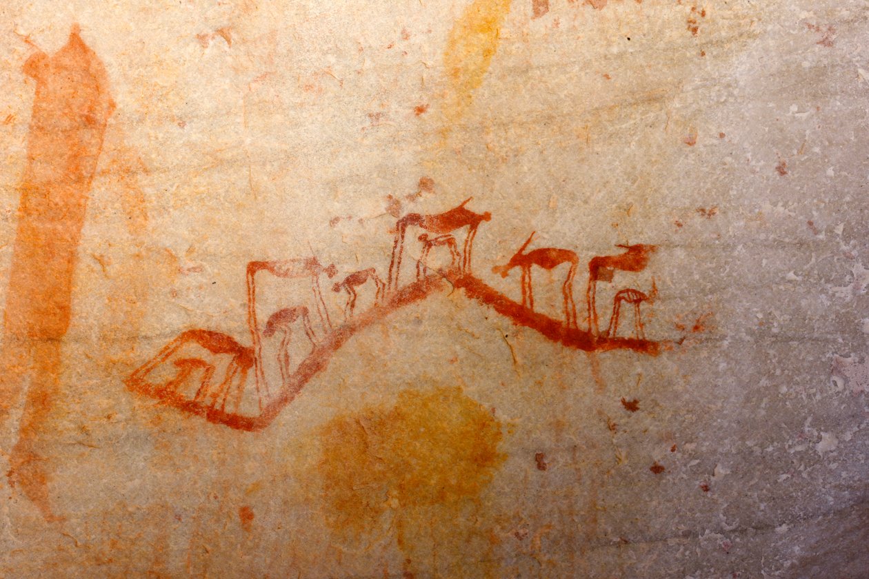 Arte rupestre dei San da Unknown