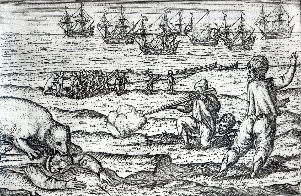 Marinai attaccati da orsi polari, illustrazione da 
