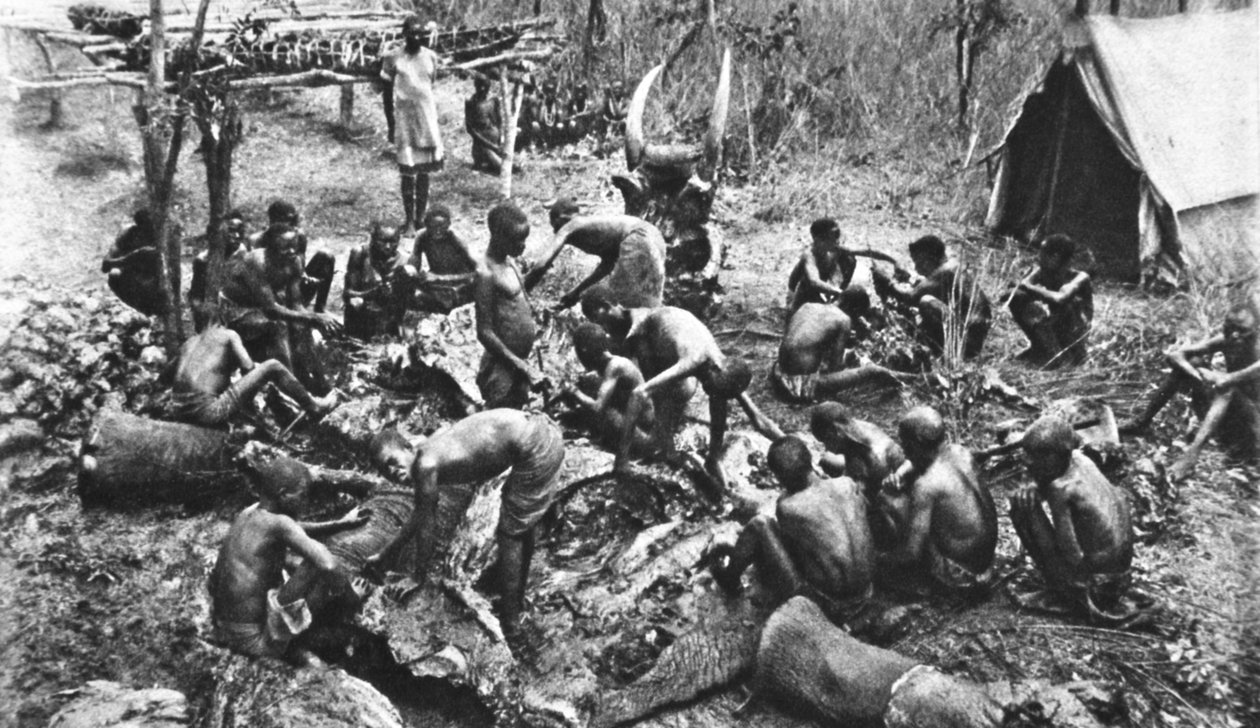 Ucciso per razioni di carne per le nostre truppe native della Rhodesia da English Photographer