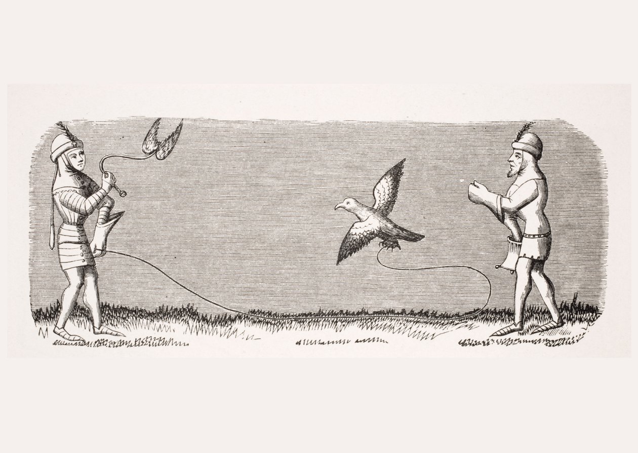 Come addestrare un nuovo falco, riproduzione di una miniatura nel manoscritto del XIV secolo 