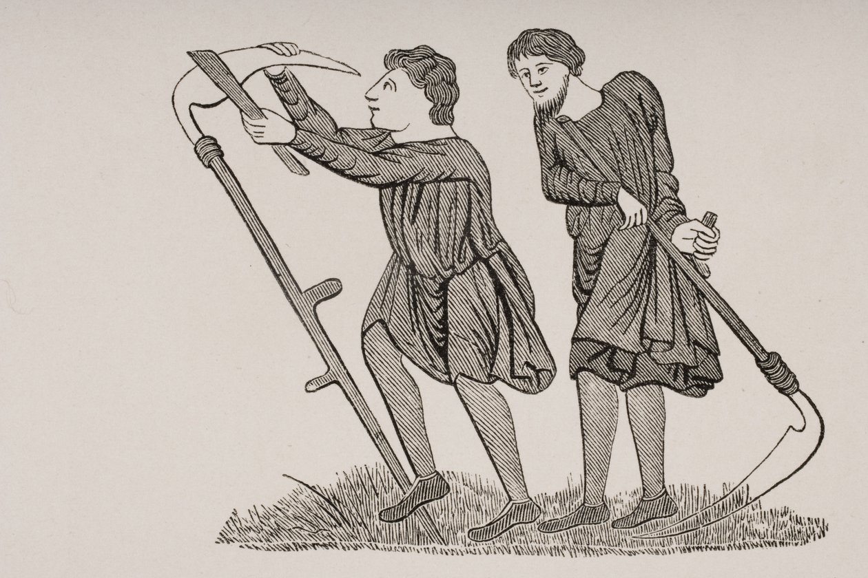 Servi che lavorano nei campi con falci, da una miniatura in un manoscritto del XII secolo, da 