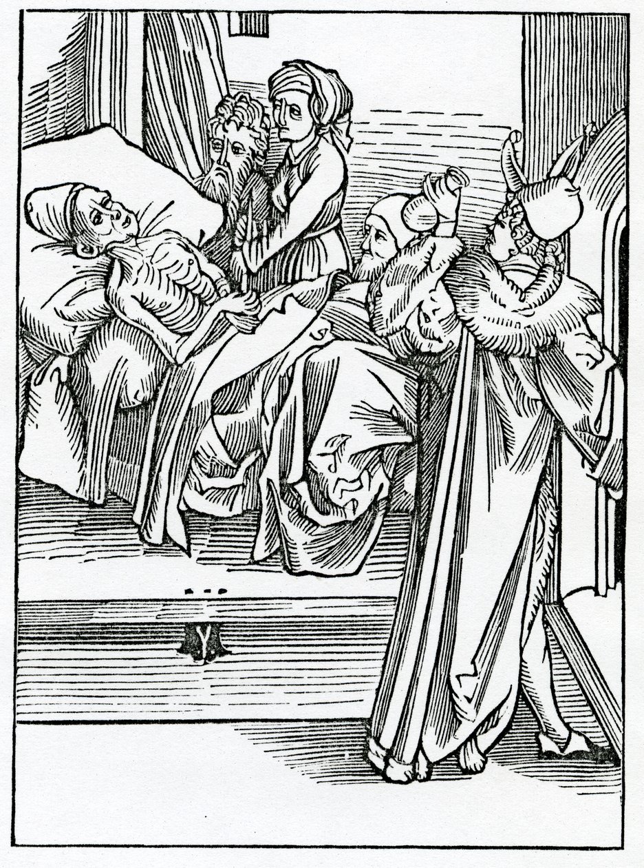 Dei medici sciocchi e ignoranti che seguono solo la pratica senza conoscere la speculazione della loro facoltà, illustrazione dalla traduzione inglese di Alexander Barclay di 