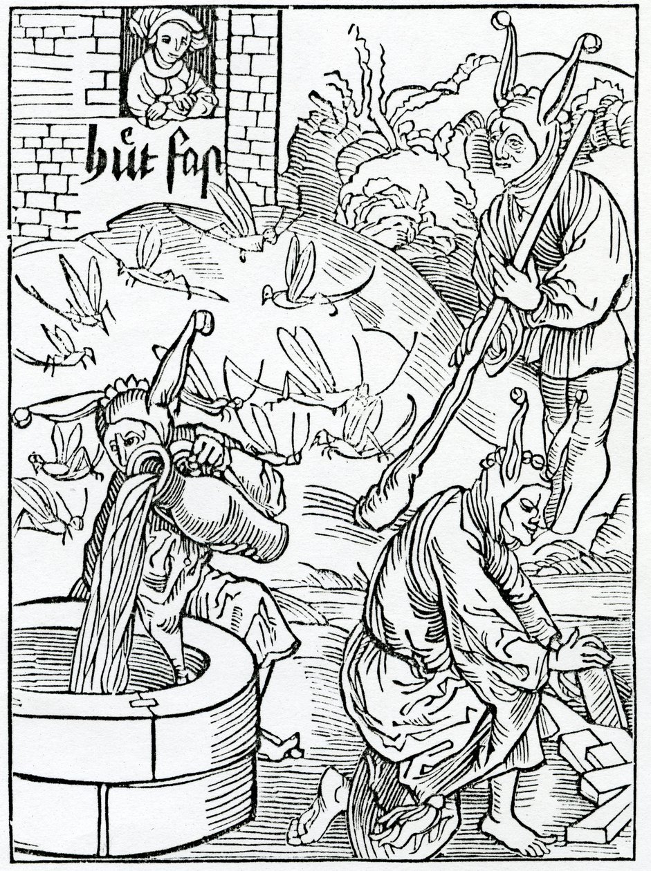 Di colui che è geloso della moglie e la sorveglia senza motivo, o evidente segno di cattiva condotta, illustrazione dalla traduzione inglese di Alexander Barclay di 