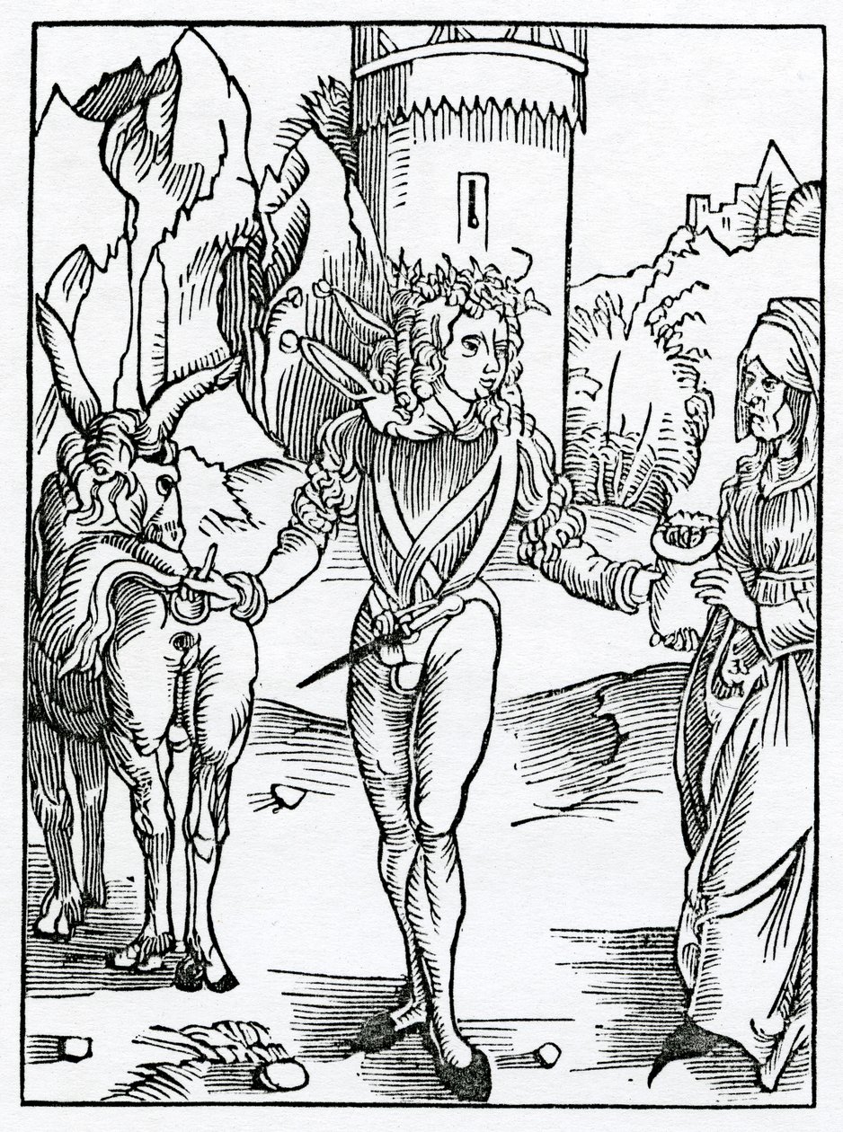 Dei giovani sciocchi che prendono vecchie donne come mogli per le loro ricchezze, illustrazione dalla traduzione inglese di Alexander Barclay di 