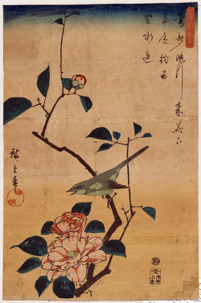 Tsubaki ni Uguisu (Camelia e Usignolo) da Utagawa Hiroshige
