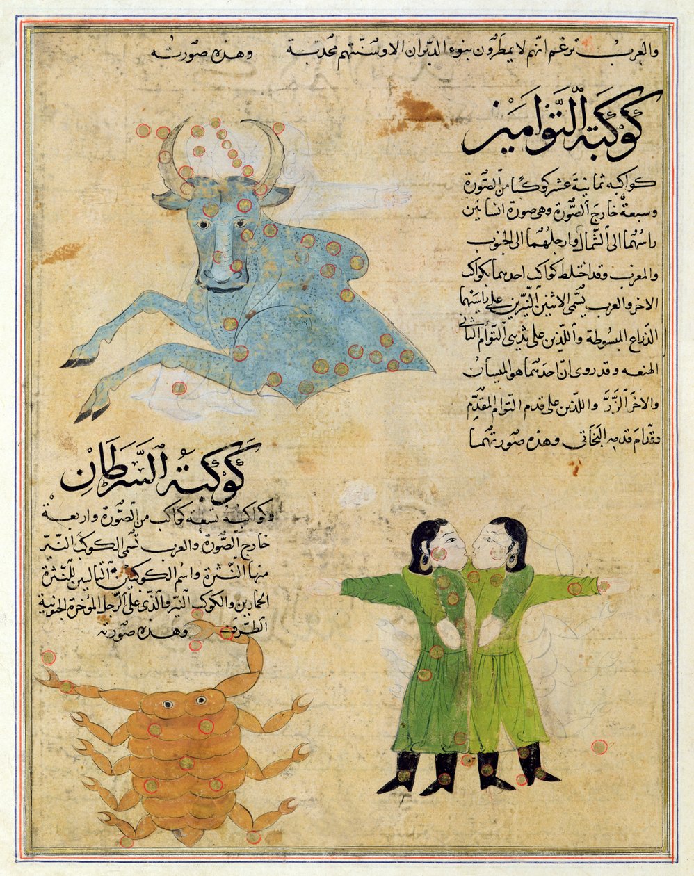 Le Costellazioni del Toro, dei Gemelli e del Granchio, illustrazione da 
