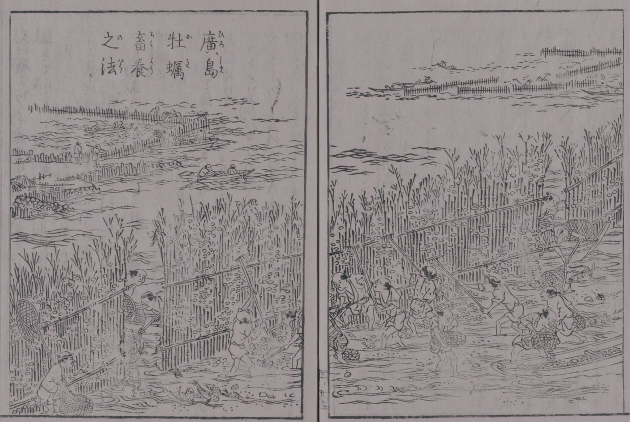 Illustrazione di prodotti famosi di montagna e mare del Giappone, Volume 3, Hiroshima Momo, Metodo di coltivazione di Hiroshima Momo da 蔀関月 Kangetsu