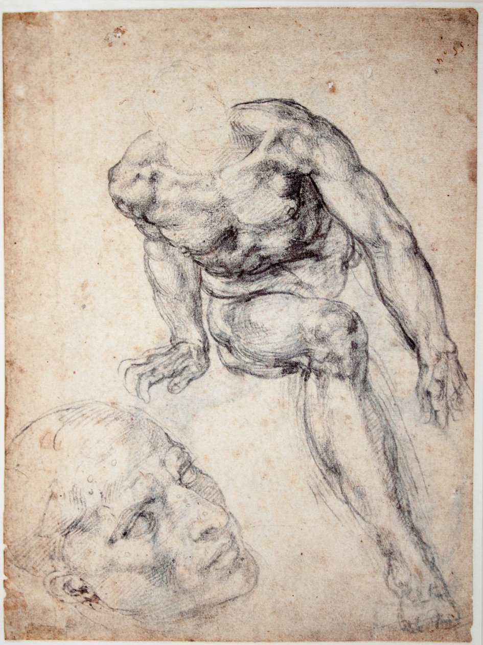 Studio di un nudo maschile, studio separato della sua testa da Michelangelo Buonarroti