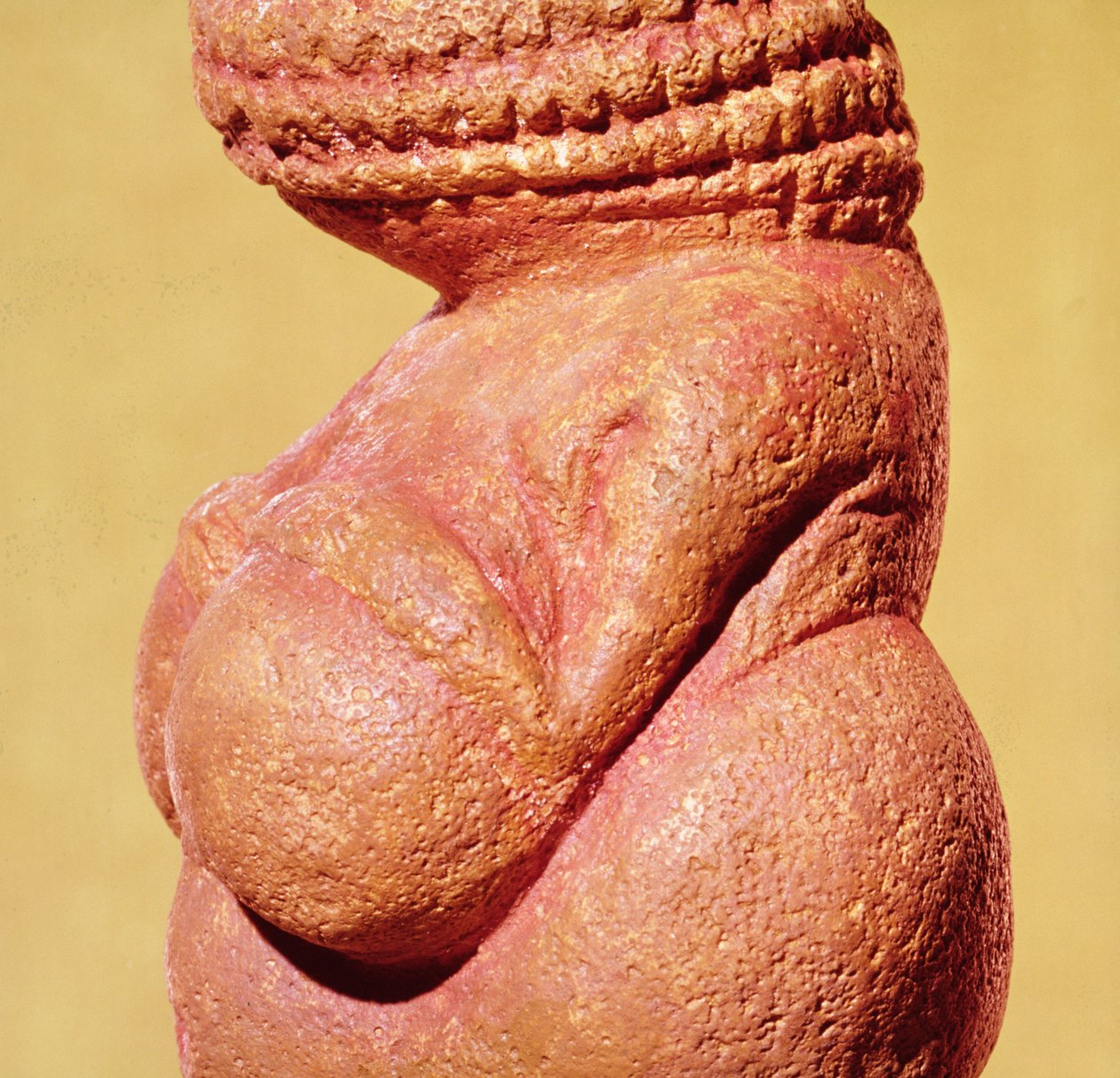Figurina femminile conosciuta come la Venere di Willendorf, vista laterale del torso (dettaglio) da Paleolithic