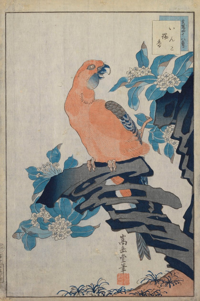 Senza titolo da Nakayama Sugakudo