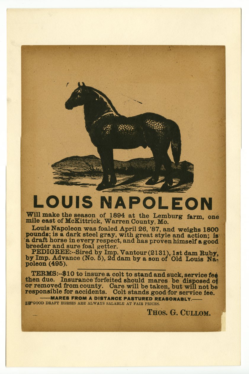 Manifesto pubblicitario del cavallo da tiro Louis Napoleon per il servizio, 1894 da Unknown