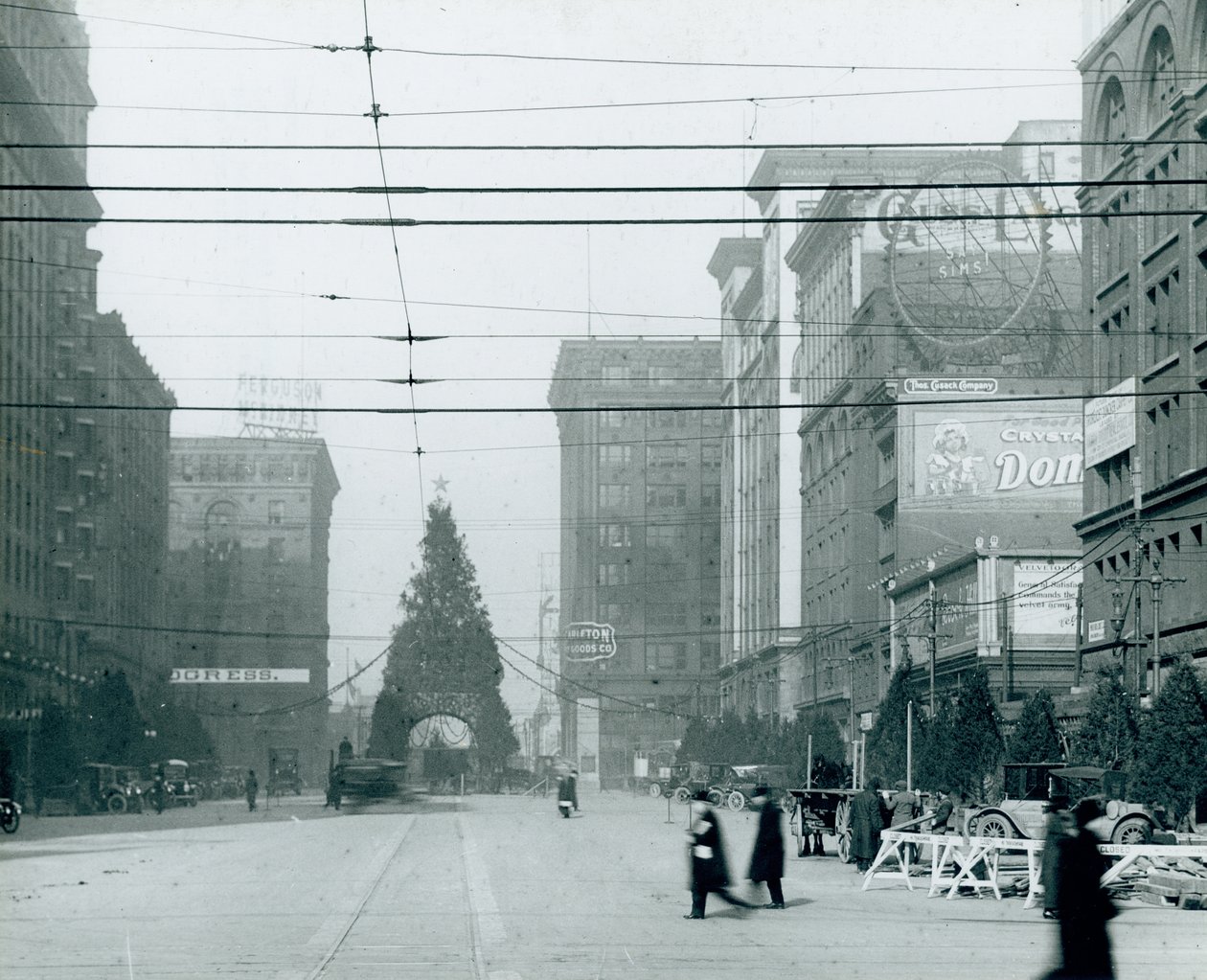 Albero di Natale esposto in Twelfth Street tra Locust e St. Charles Streets da Unknown
