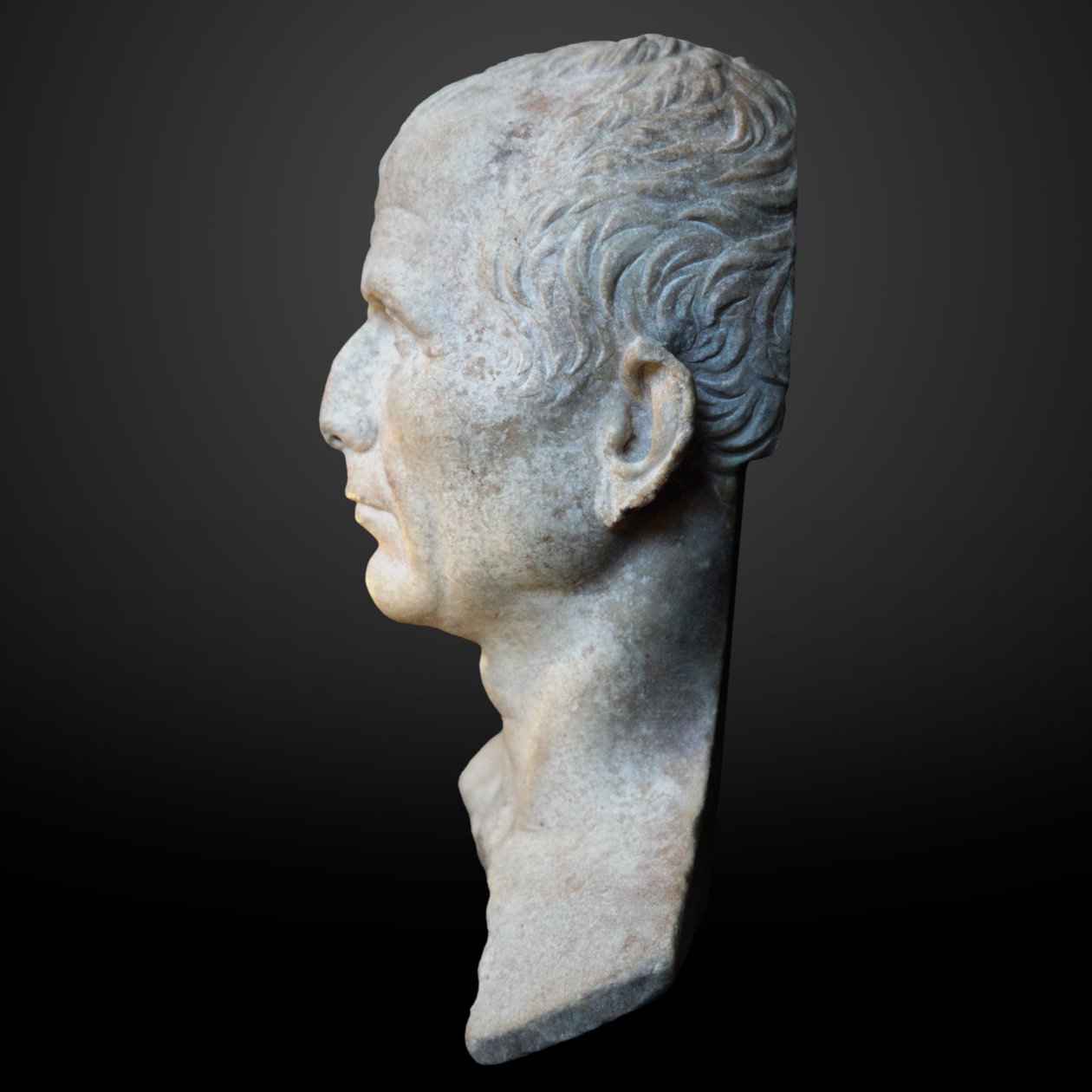 Presunto busto di Cesare da Unknown