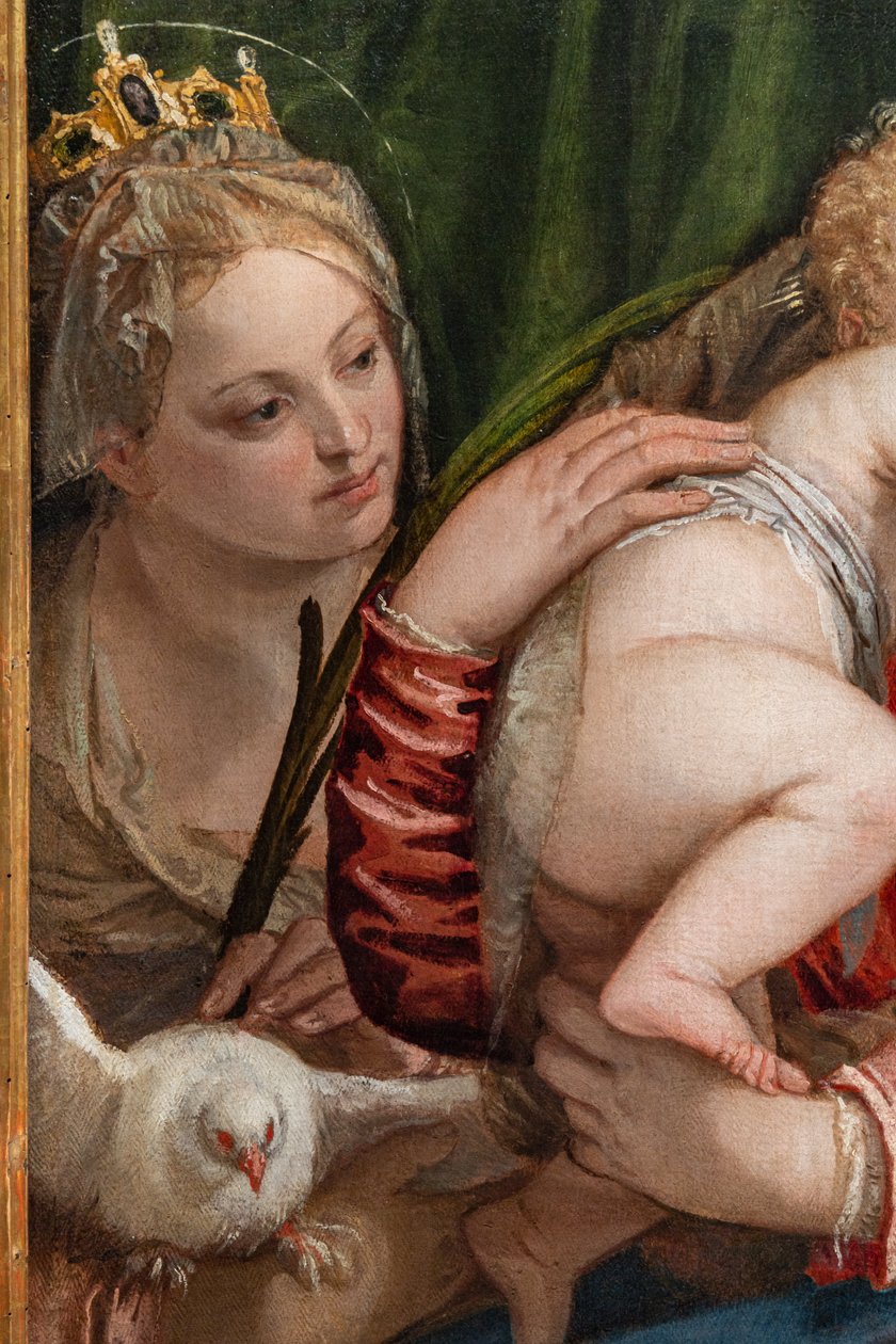 Madonna e Gesù Bambino tra S. Caterina d