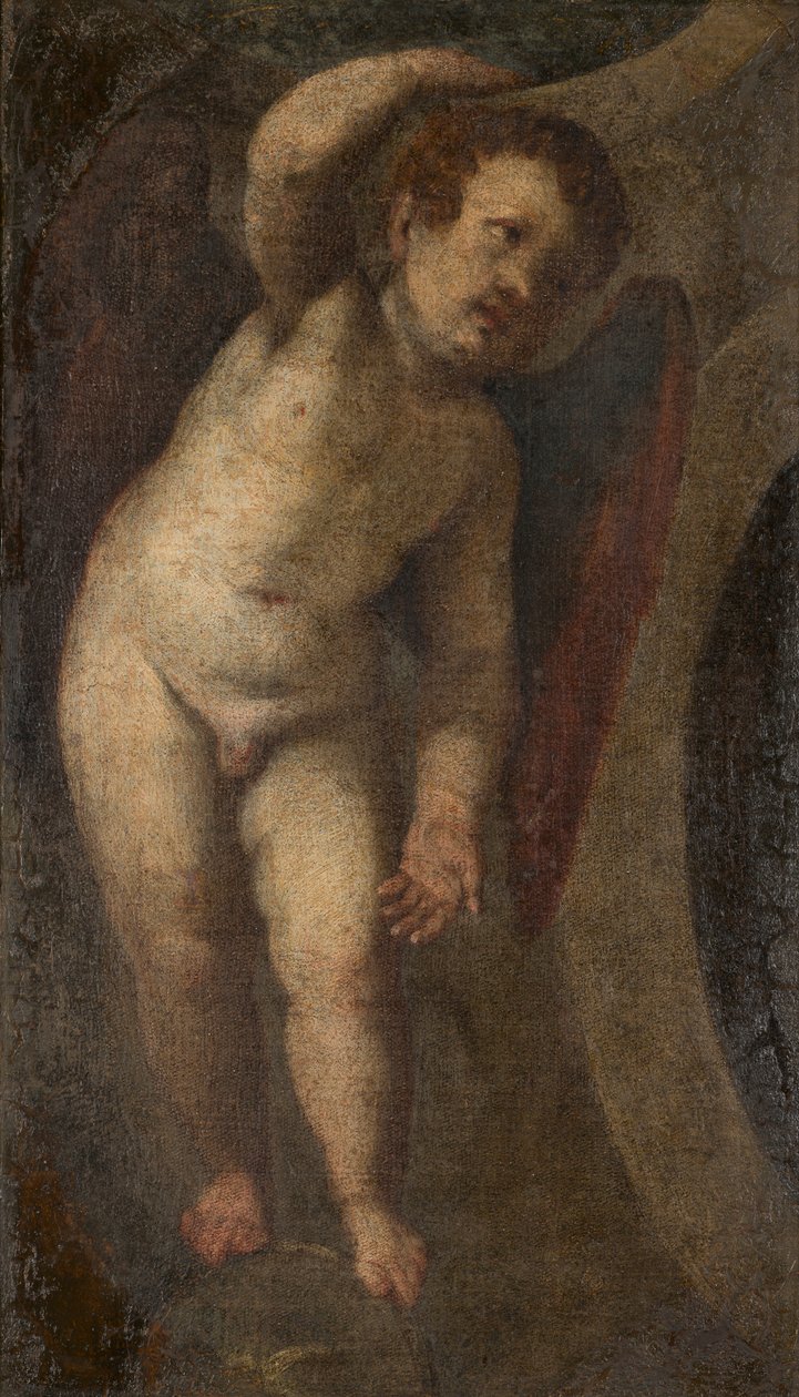 Un putto in piedi, c.1548-88 da Veronese