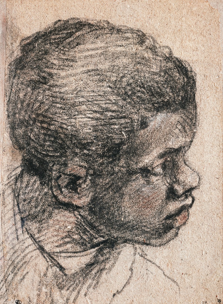 Testa di ragazzo negro, Paolo Caliari detto Veronese (1528-1588), disegno da Veronese