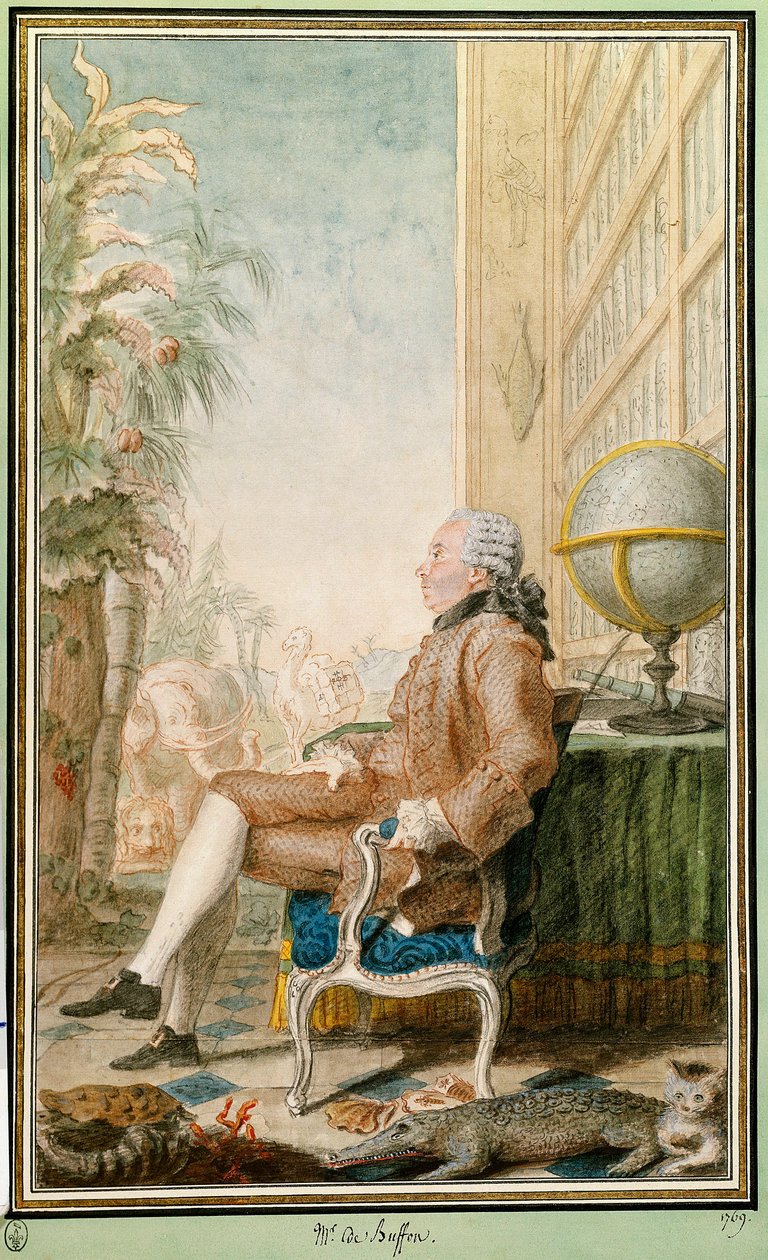 Ritratto di Georges-Louis Leclerc, Conte di Buffon, naturalista, intendente del Jardin du Roi da Carmontelle