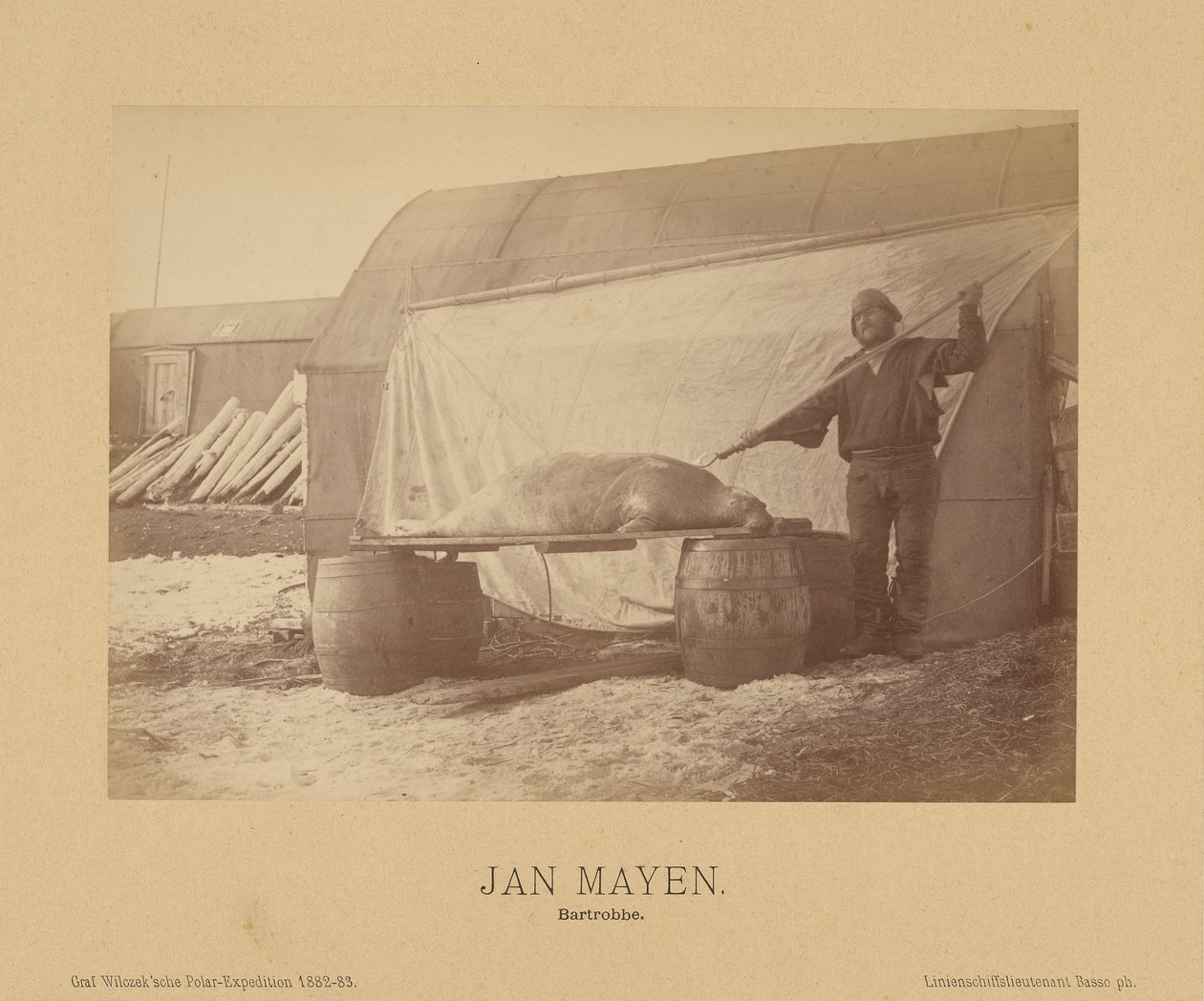 Jan Mayen, Bartrobbe da (Linienschiffs Lieutenant) Richard Basso