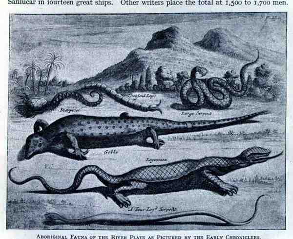 Fauna Aborigena come Rappresentata dai Primi Cronisti in 