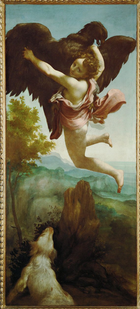 Il rapimento di Ganymed (olio su tela) da (c.1489-1534) Correggio