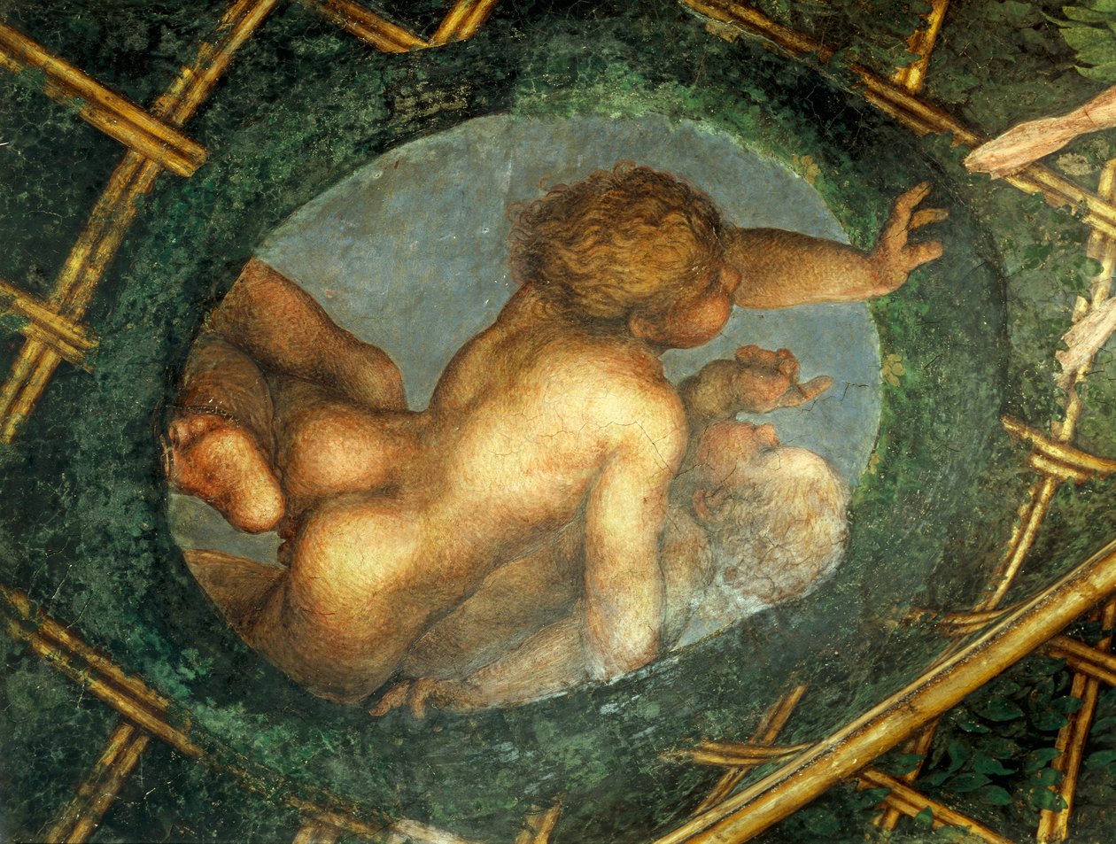 Ovate con cherubini, dettaglio della decorazione dalla Camera di San Paolo o Camera dell