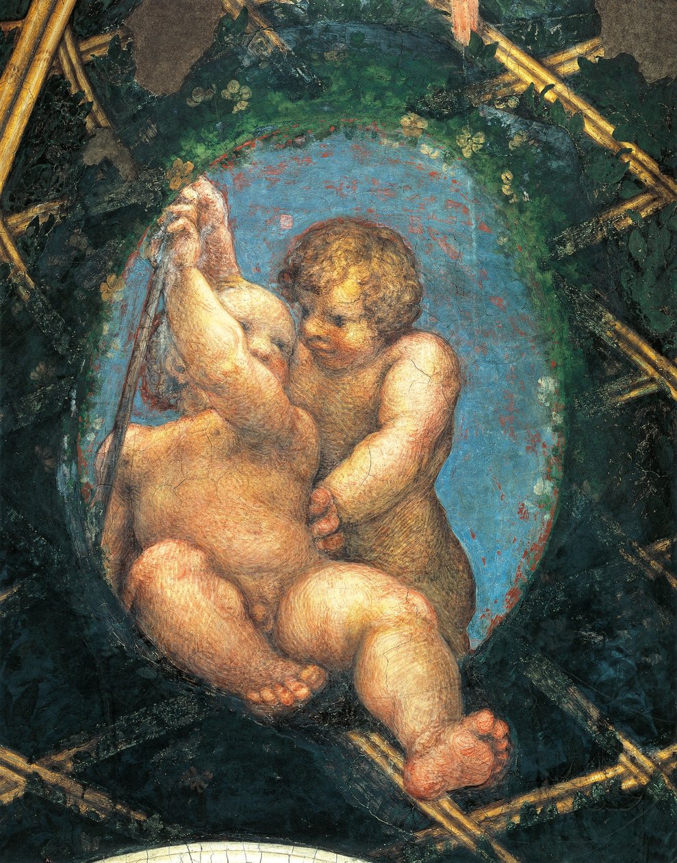 Ovate con cherubini (dettaglio) da (c.1489 1534) Correggio