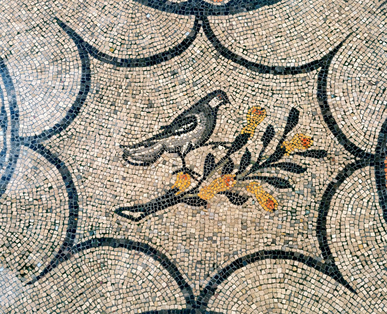 Dettaglio del pavimento della Basilica paleocristiana di Aquileia, Udine da Unknown